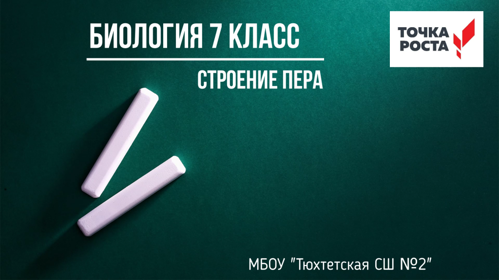 Самоанализ открытого урока по Точке роста, 7 класс «Строение пера».